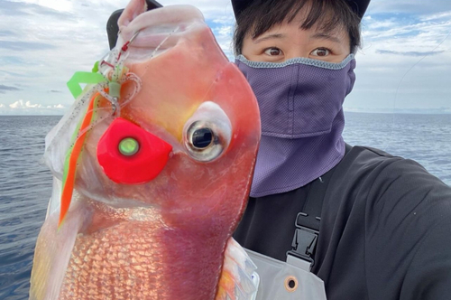 アマダイの釣果