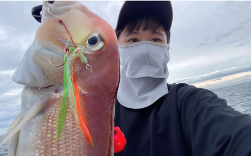 アマダイの釣果