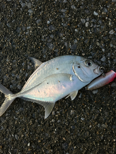 内海川河口