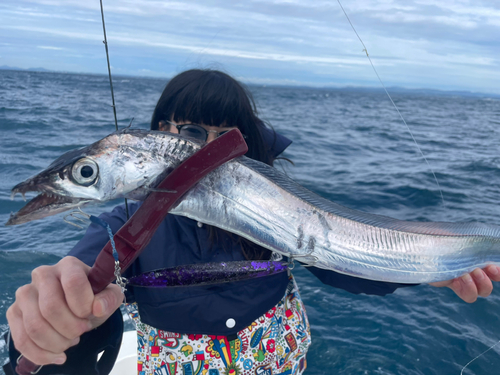 タチウオの釣果