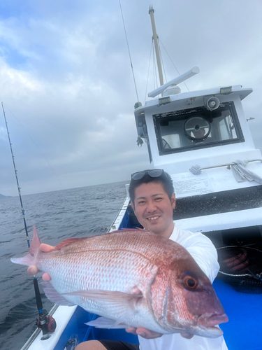 マダイの釣果