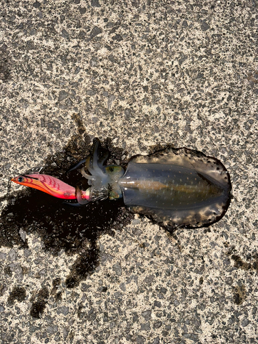 津輕半島