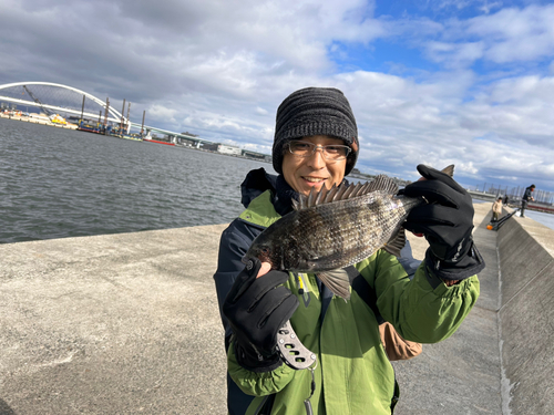 チヌの釣果