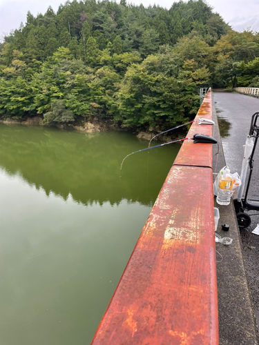 ワカサギの釣果