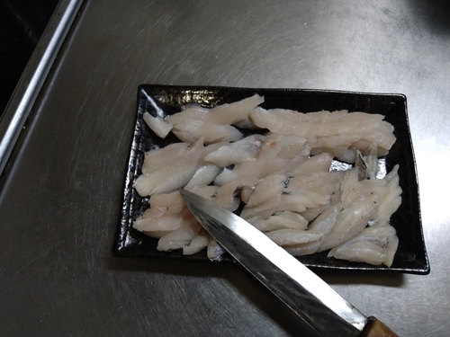 タチウオの釣果