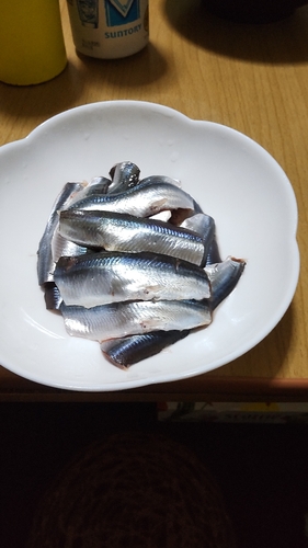 釣果