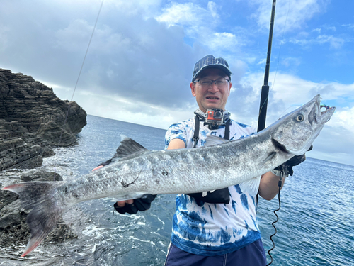 オニカマスの釣果