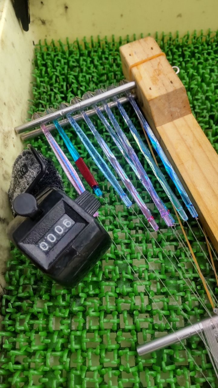 イカ時々魚さんの釣果 2枚目の画像