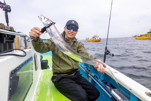 タチウオの釣果