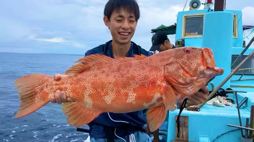 スジアラの釣果