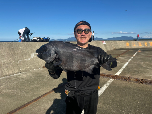 イシダイの釣果