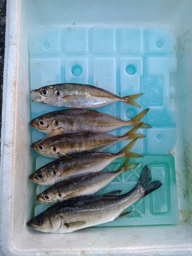 霞釣り公園