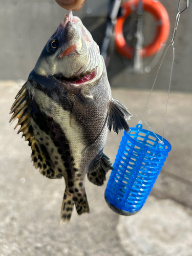 霞釣り公園