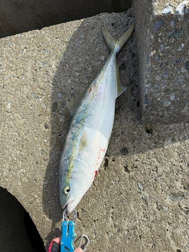 三陸海岸（青森）