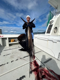 バショウカジキの釣果