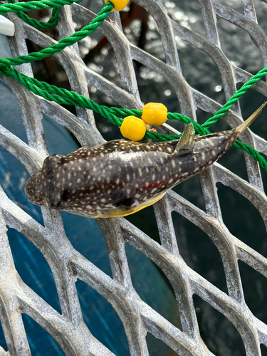 本牧海づり施設