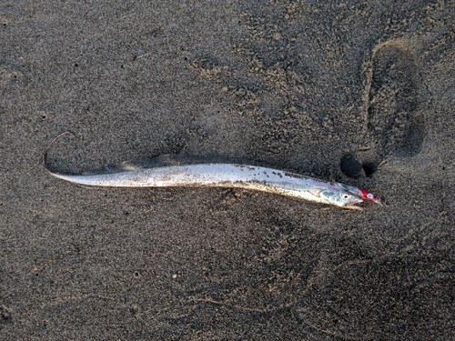 中田島サーフ