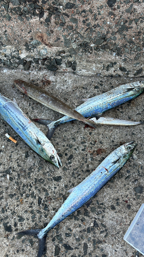 日明海峡釣り公園