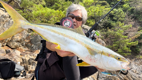 ヒラマサの釣果