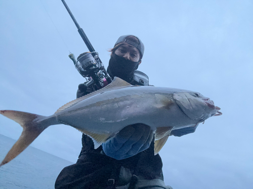 ネリゴの釣果