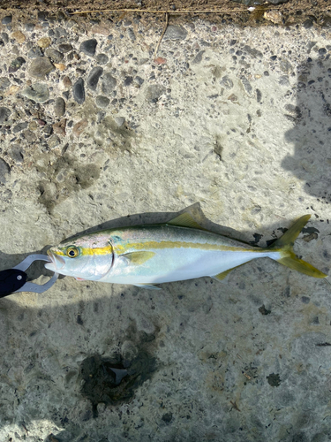 表浜名湖