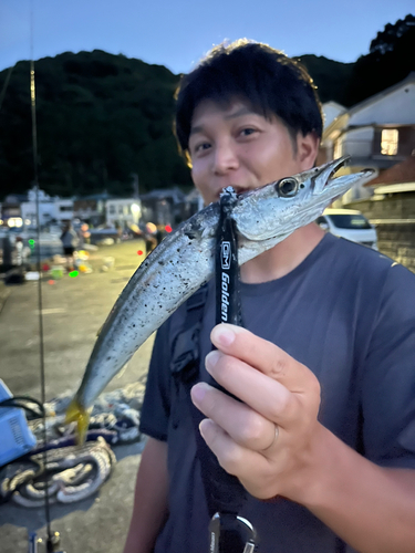 ヤマトカマスの釣果