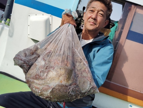 マダコの釣果