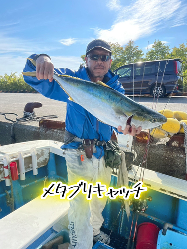 メジロの釣果