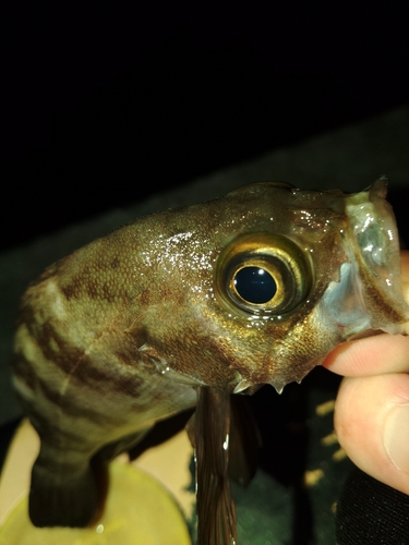 飯子浜漁港