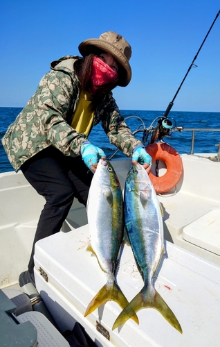 ヤズの釣果