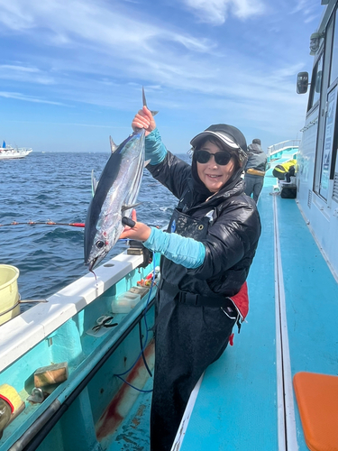 キハダマグロの釣果