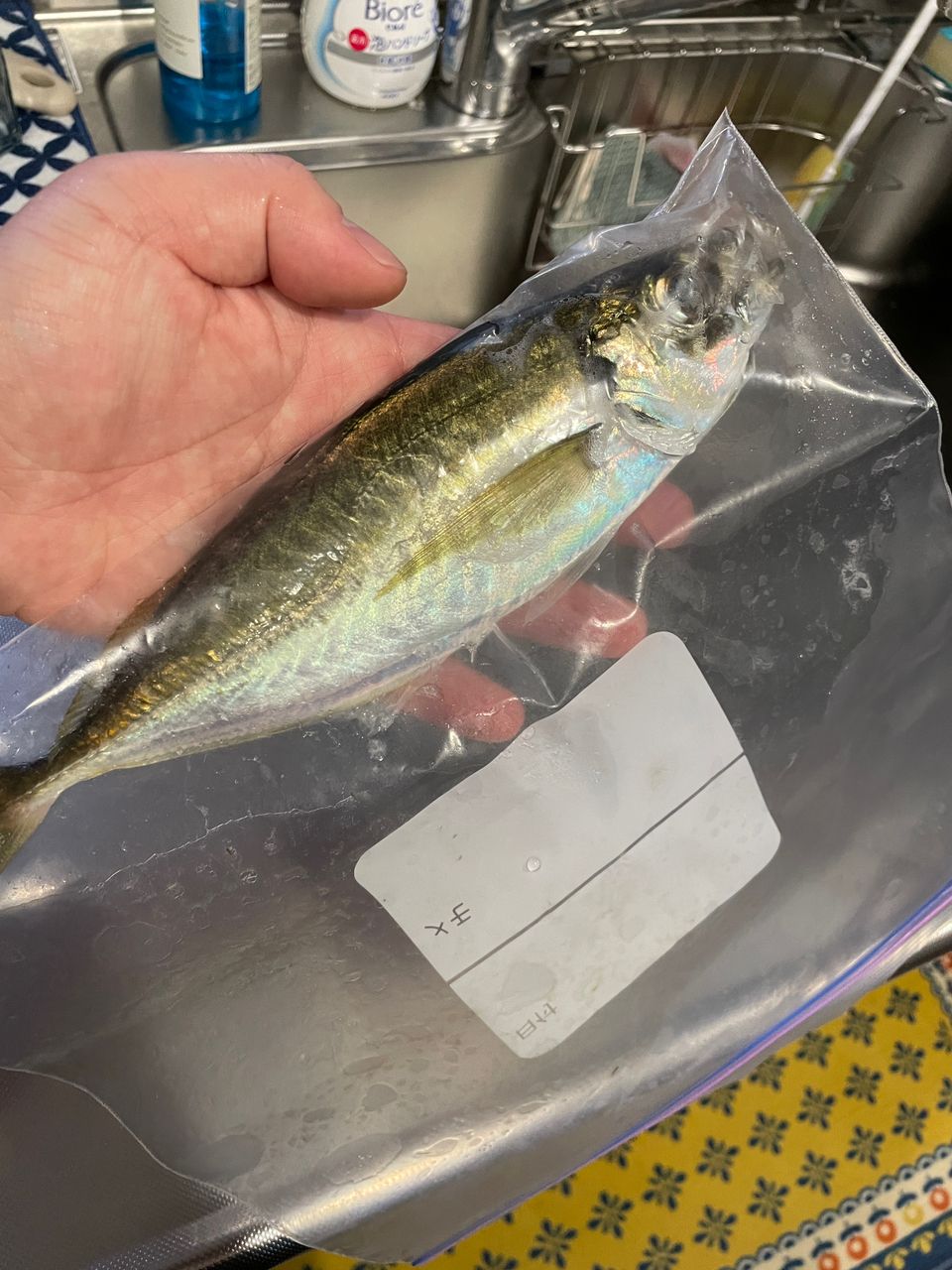 鯵道 5G AD5-S682L /AJI メジャークラフト 鯵道 5G AD5-S682L/AJI (ロッド・釣竿) 価格