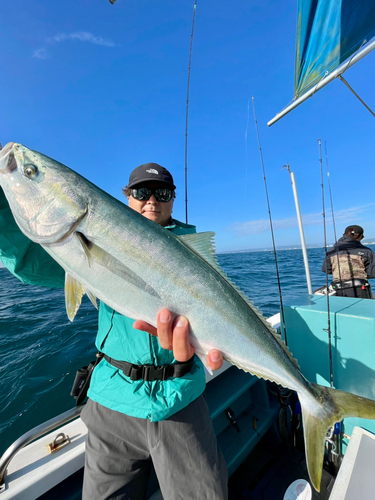 ワラサの釣果