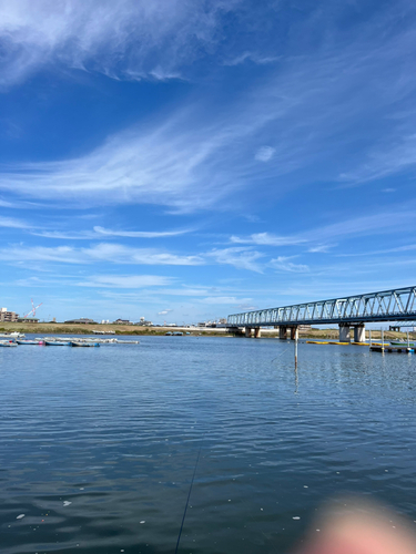 江戸川下流