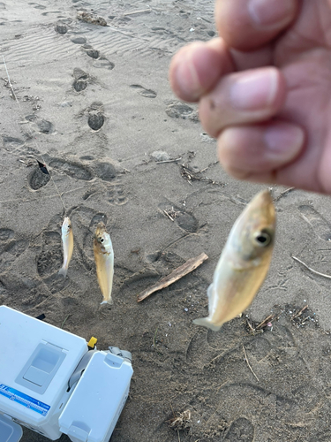 松任海浜公園