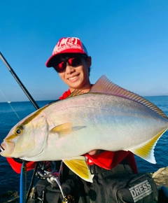 カンパチの釣果