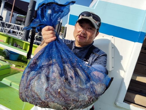 マダコの釣果