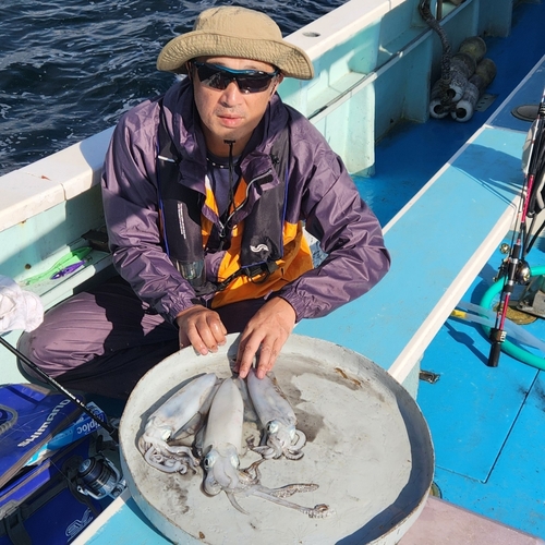 アオリイカの釣果