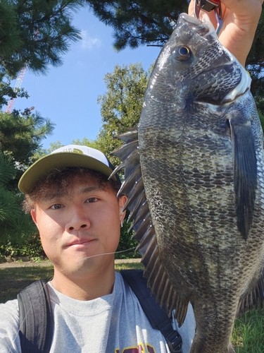 水の広場公園