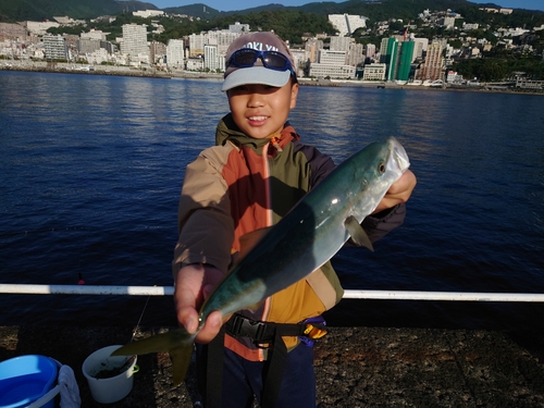 イナダの釣果