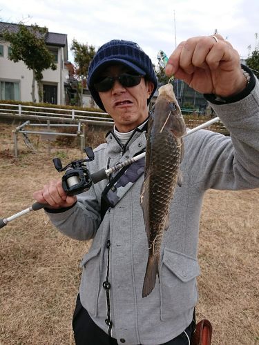 フナの釣果