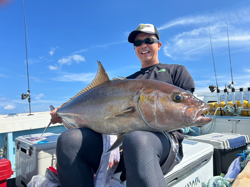 カンパチの釣果