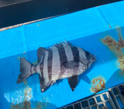 あかぐり海釣公園