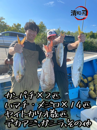 メジロの釣果