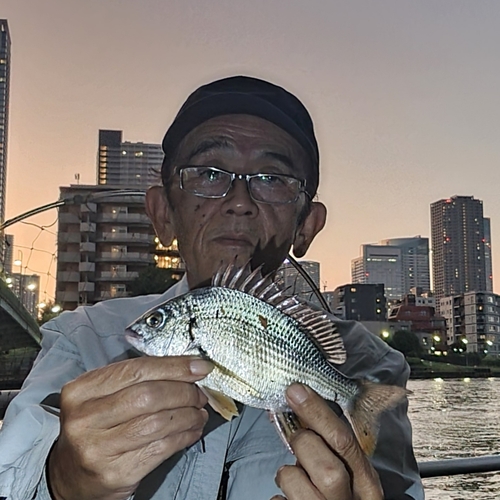 キチヌの釣果