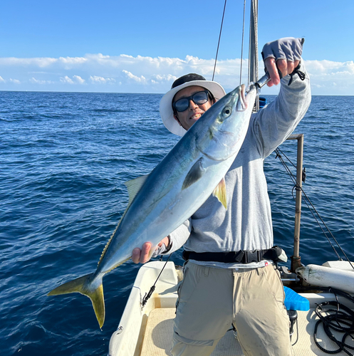 ワラサの釣果