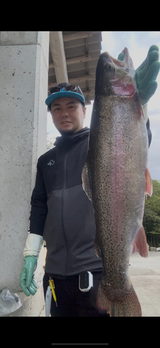 ニジマスの釣果