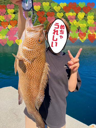 オオモンハタの釣果