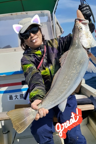 オオニベの釣果