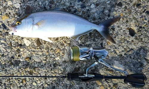 飯田湾